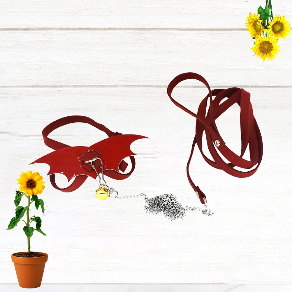 

Turtle Harness Leash Rope Tortoise Reptile Withcollar Wing Pet Strapadjustable Control Accessory Dragon Bearded Lizardsmall