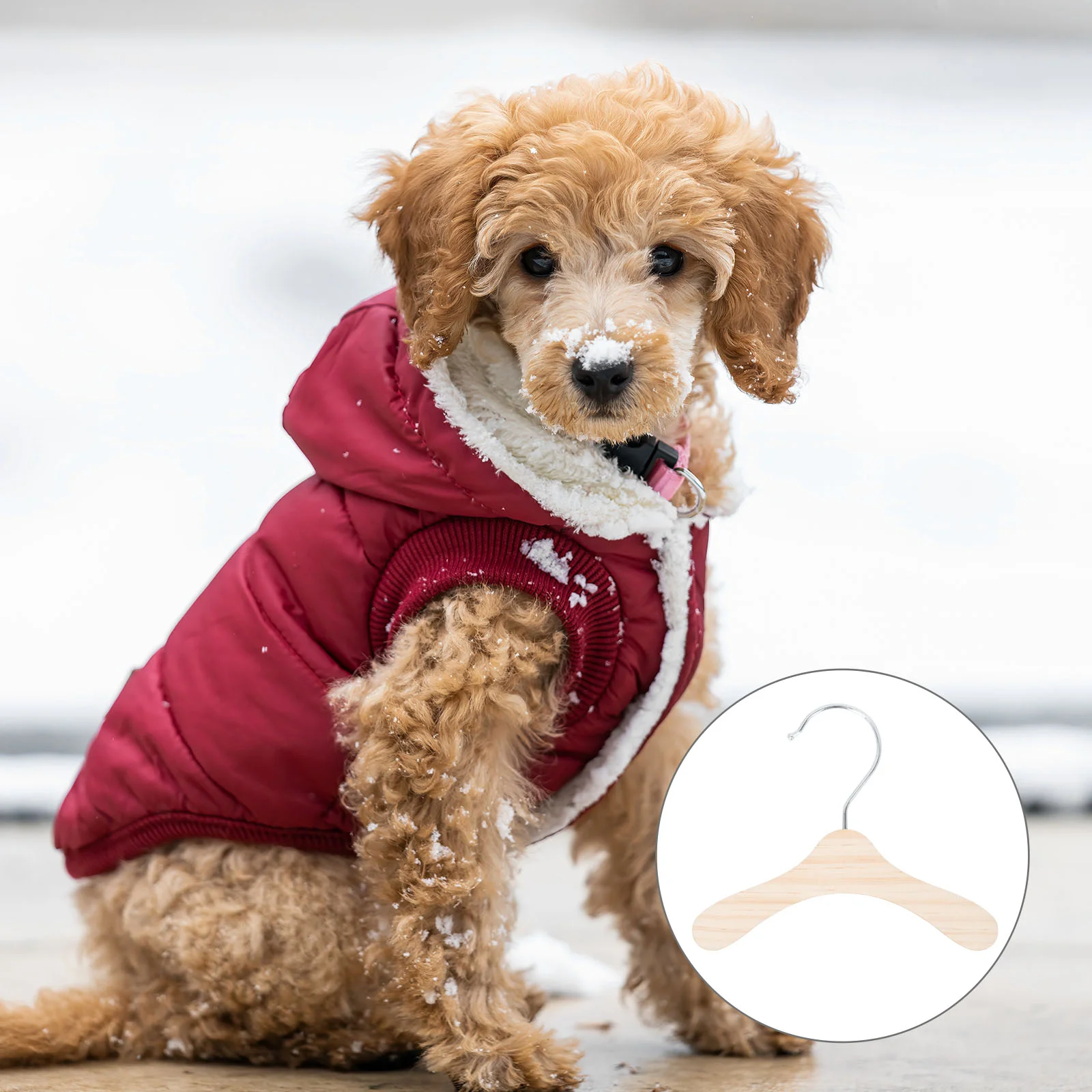 

Hanger Clothesdog Hangers Pet Wooden Mini Suit Cat Rack Coat Toddler Baby Outfitsmall Clothingcloset Accessories Puppy Holder