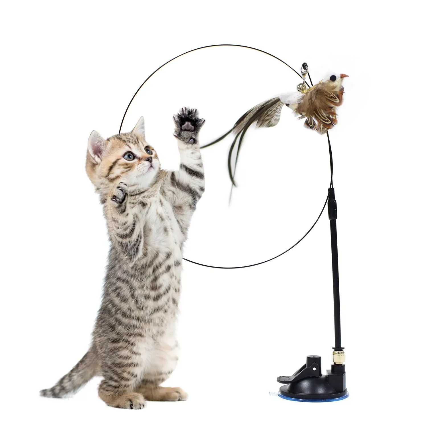 

NEW Funny Simulation Bird Interactive Cat Toy with Super Suction Cup Feather Bird for Kitten Play Chase Exercise Cat Toy Supplie
