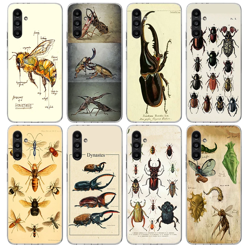 Фото Чехол для телефона Bugs Bees Scientific Decomposition для Samsung Galaxy A17 A16 A15 A14 A13 A56 A55 A54 A53 A36 A35 A34 A33 A26 A25 A24 №1