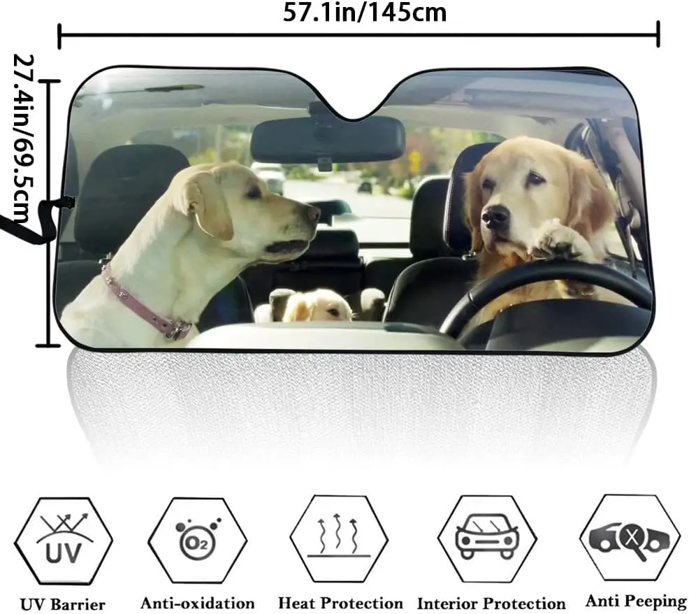 Рисунок 5 - Автомобильный солнцезащитный козырек для лета