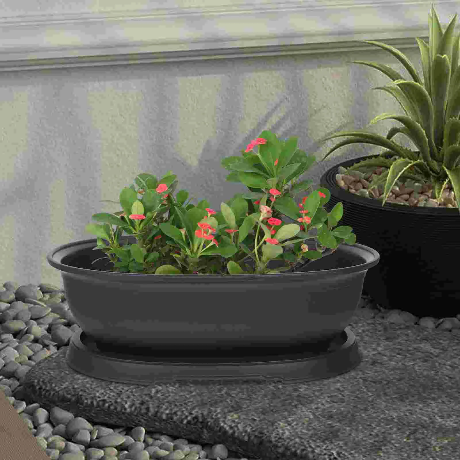 Овальный горшок бонсай цветочные горшки для деревьев контейнер суккулентов в