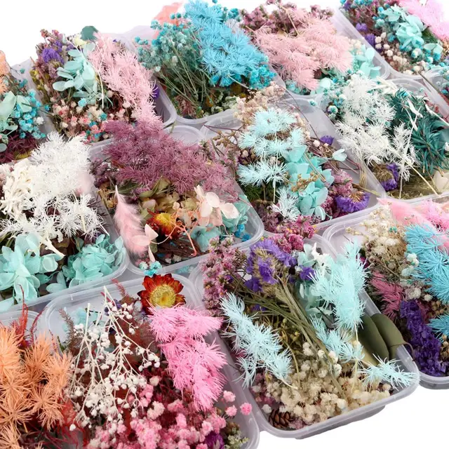 1 коробка, сушеные цветы для украшений из смолы, изготовление сухихрастений, прессованные цветы, коробка для сухих цветов «сделай сам»,силиконовая форма