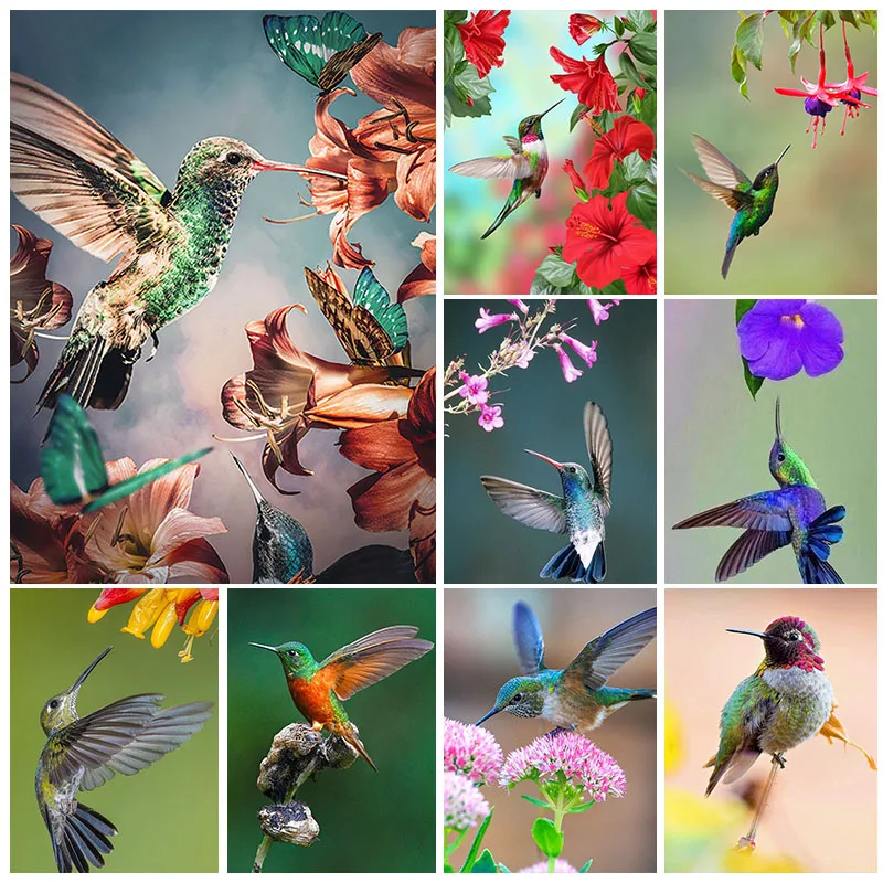 

Картина по номерам «Колибри», «сделай сам» для масляной живописи, домашний декор для спальни, гостиной, украшение для детской комнаты, ручна...