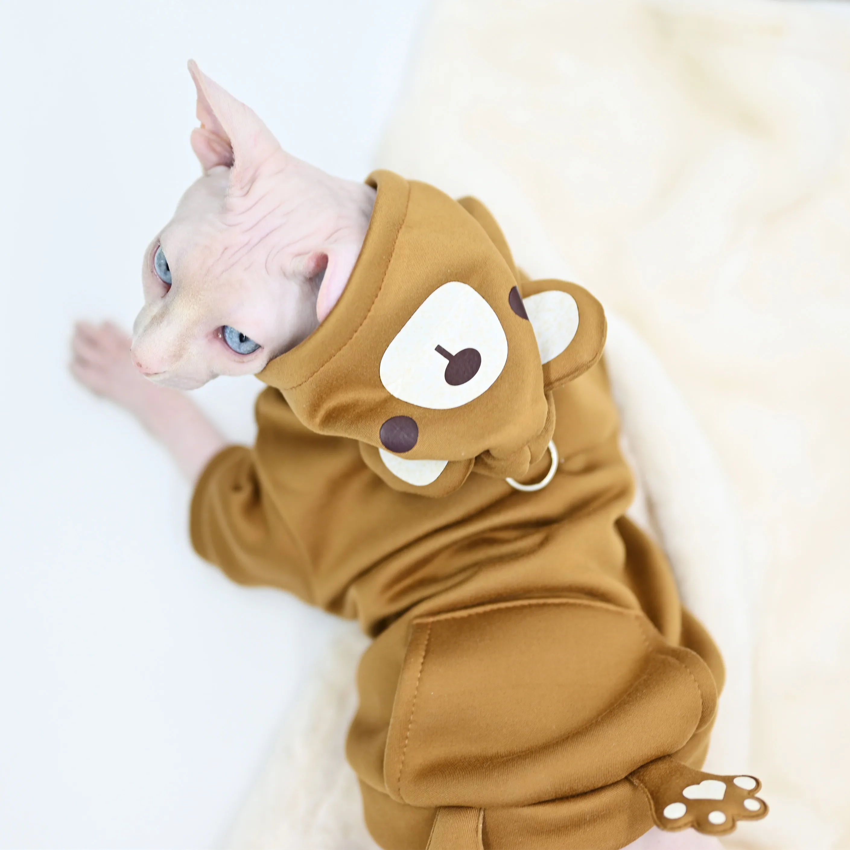 

Hairless Cat Clothes Devon Clothes Funny Kitten Clothes Soft Autumn Pet Anti Hair Loss Hoodie Clothes for Cats