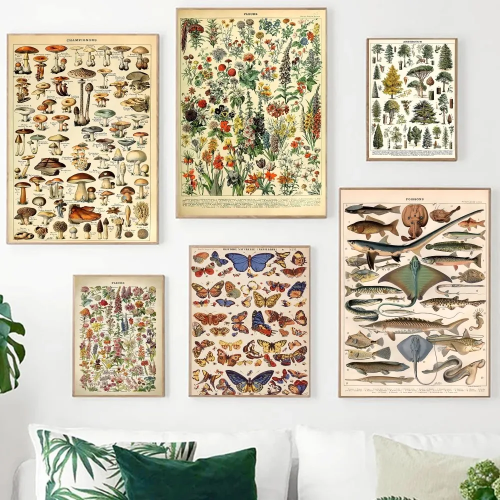 Растительные художественные принты грибы хорошего качества и плакаты для