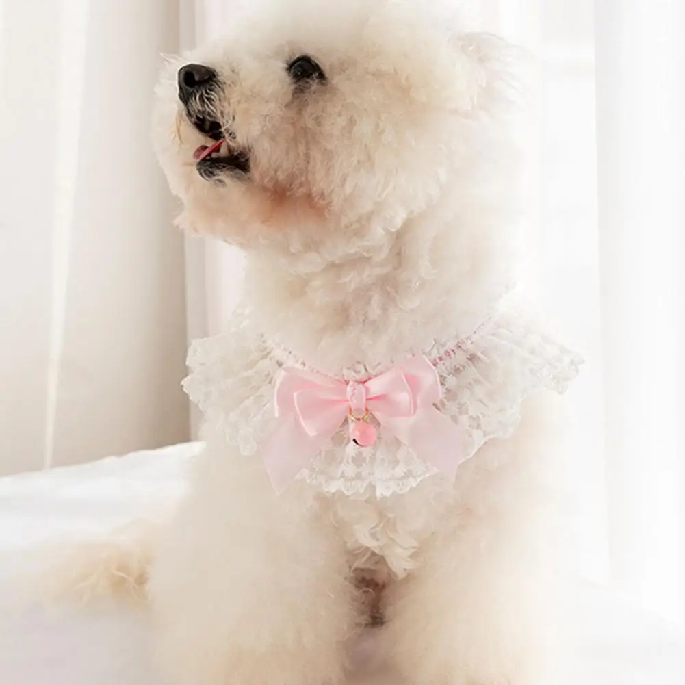 Bow Necklace Fashionable Costume Smell-less Kitten Puppy Collar for Outdoor Bowknot Pet |