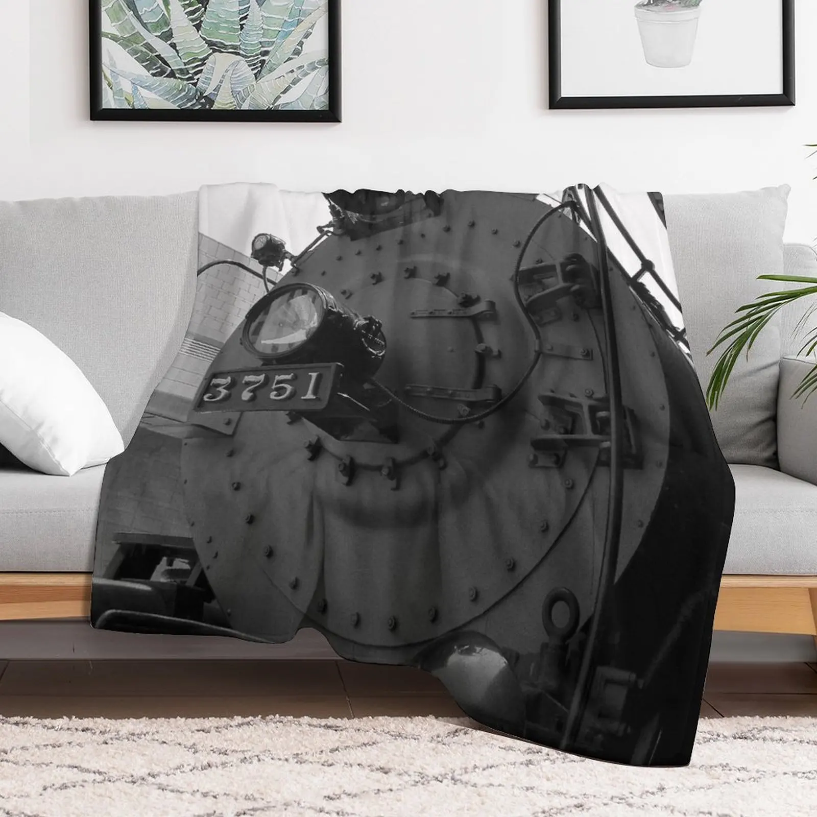 Паровой двигатель 3751 одеяло Hairys для декоративных диванов