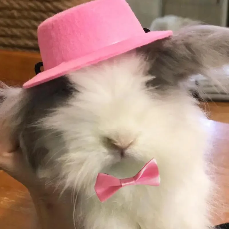 Шляпа для хомяка фетровая шляпа с бантом и перьями