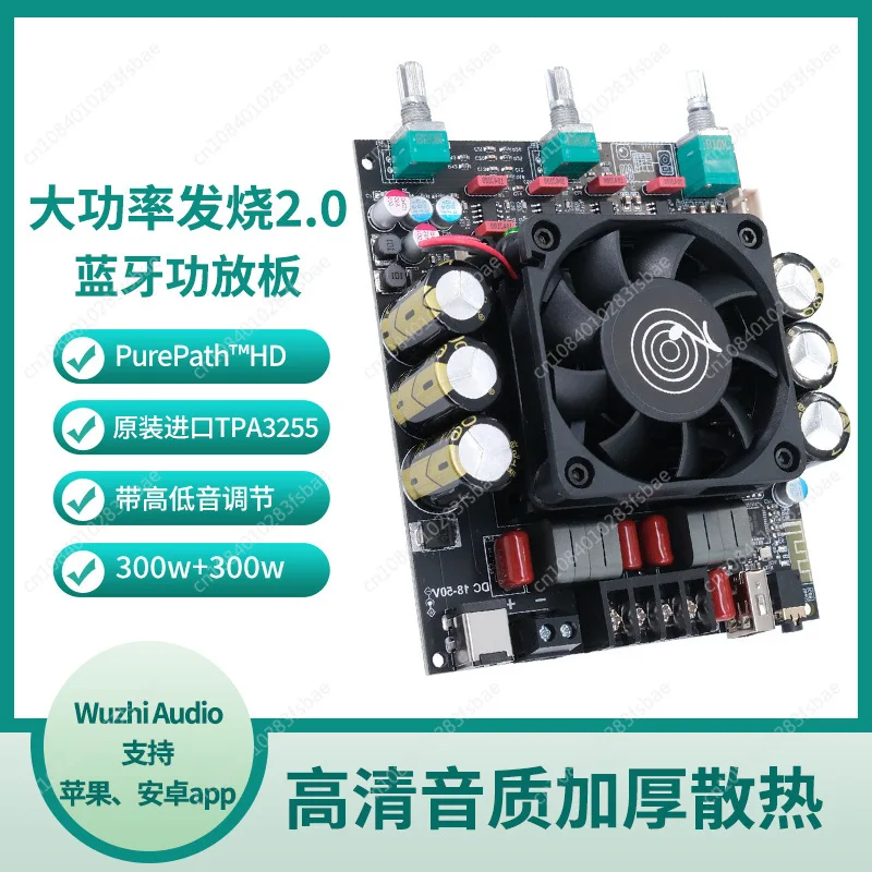 Плата цифрового усилителя мощности Tpa3255 высокой 300 Вт + Hifi двухканальный с и