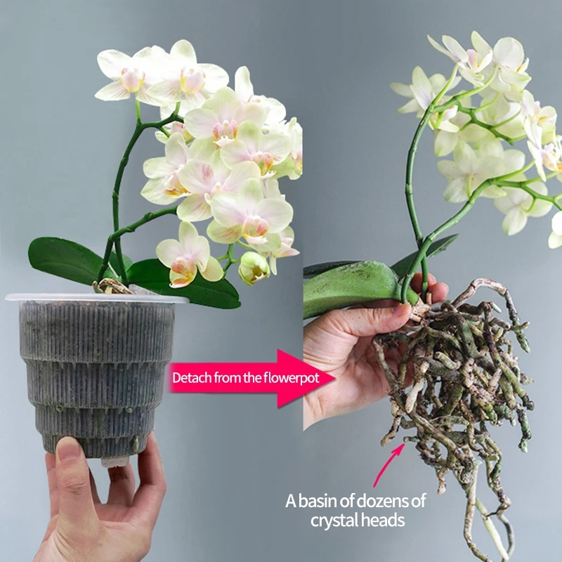 

Прозрачный цветочный горшок с корневым контролем, горшок для выращивания орхидеи, пористость, цветочные горшки с лотком, украшение для дома...