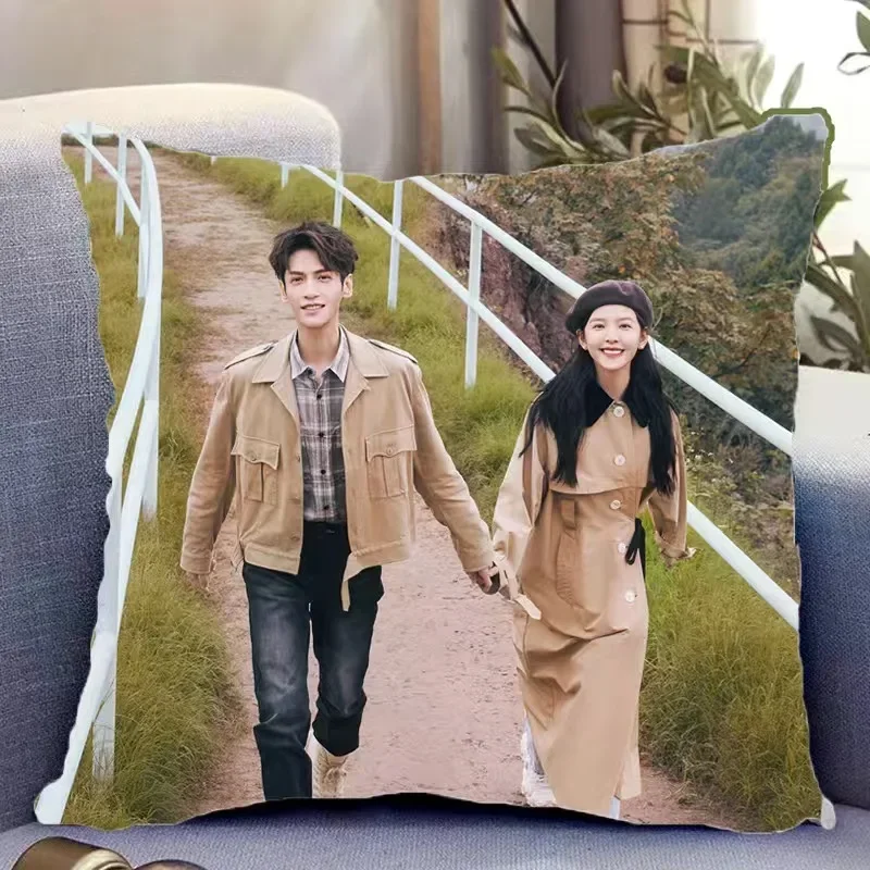 Leo Zhang Runan Luo Yunxi HD Двусторонняя Автомобильная Подушка С Принтом