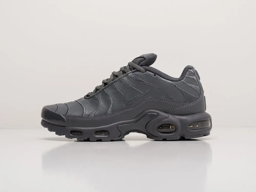 Кроссовки Nike Air Max Plus Черный Демисезон Мужской | Обувь