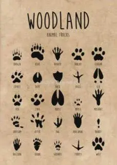 

Metal Sign Animal Tracks Tin Sign Bar Home Decoration New Year The Best Gift for Parents, So That Children Can Gain