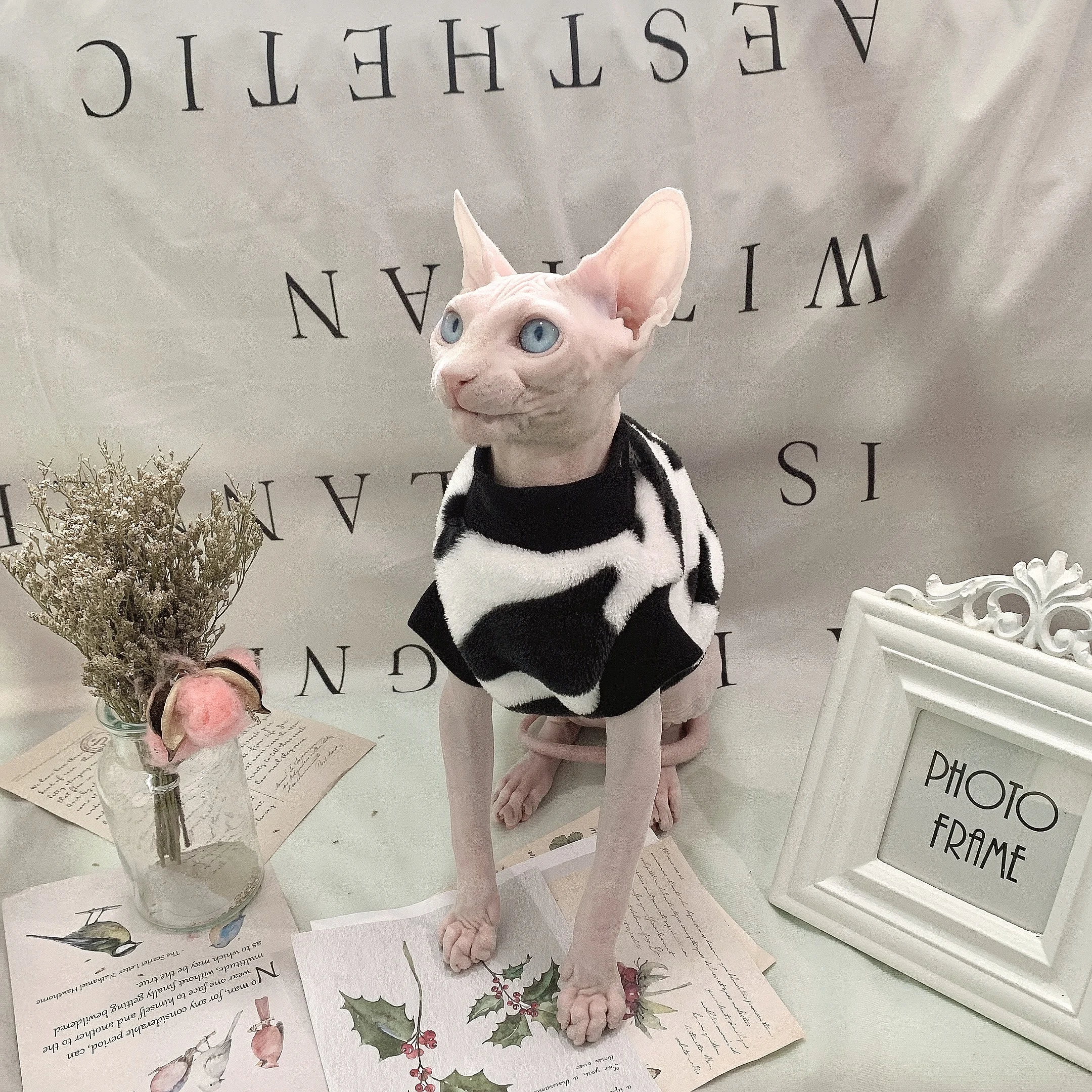 C & одежда для котят в стиле коровы осень-зима теплая кошек Сфинкс плотный костюм