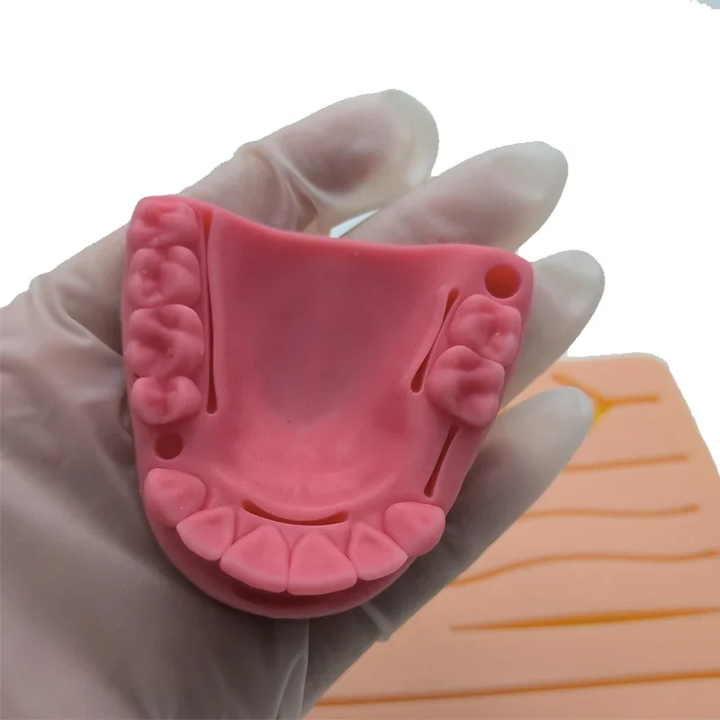 Силиконовая Модель Для Обучения Наложению Зубов Комплект Практики Наложения