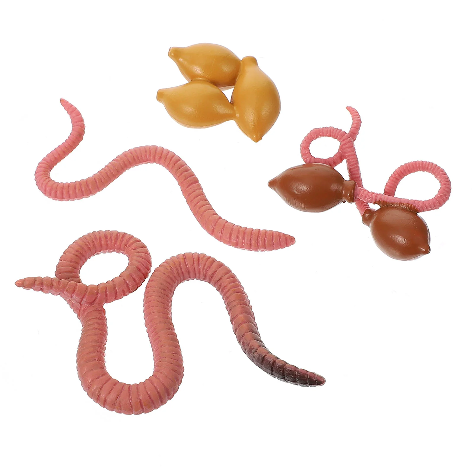 

Toy Cycle Life Educational Model Earthworms Learning Early Worm Kits Party Gift Filler Science Stem Recognition Insect Figure