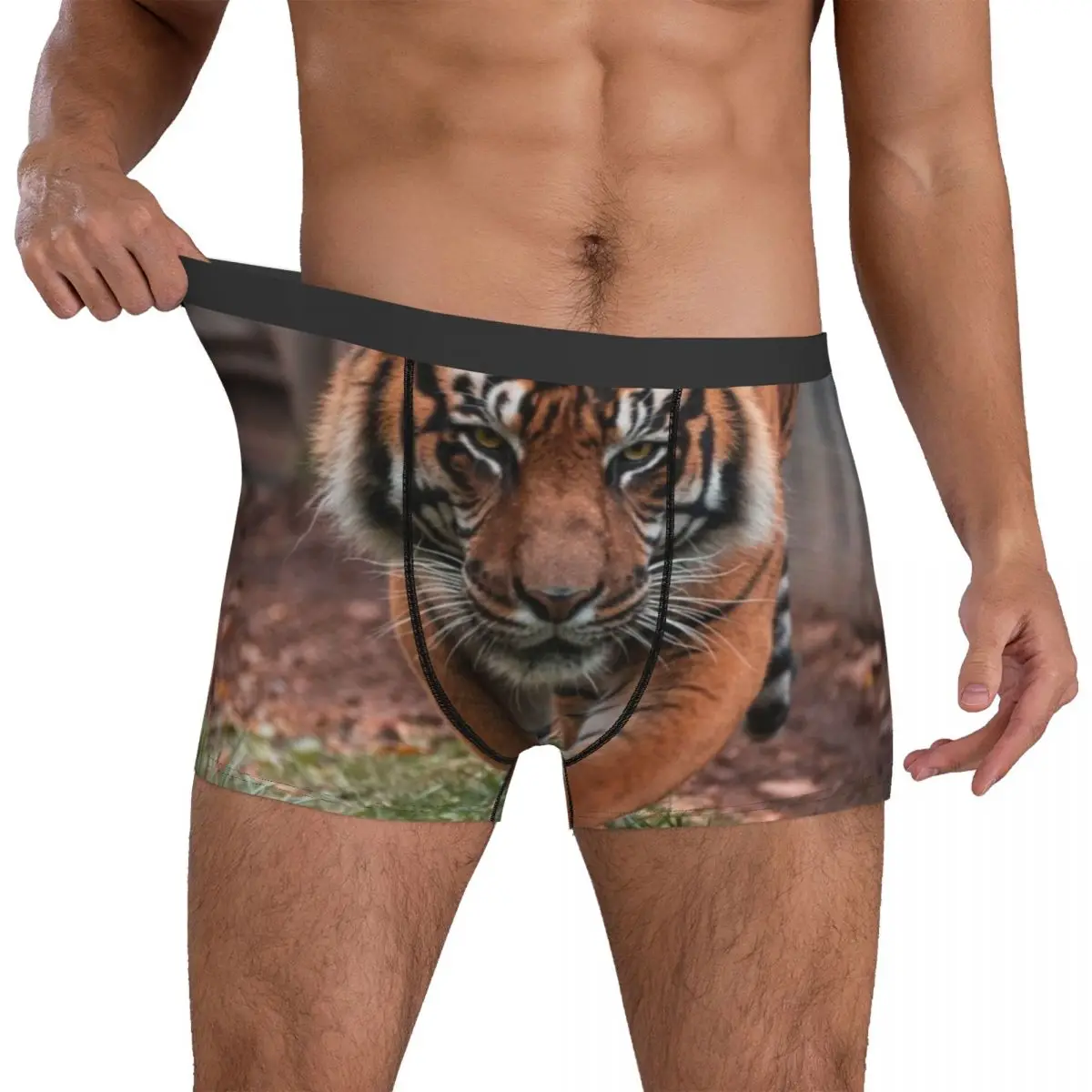 Трусы-боксеры Tiger Walk мужские с принтом нижнее белье в простом стиле объемным