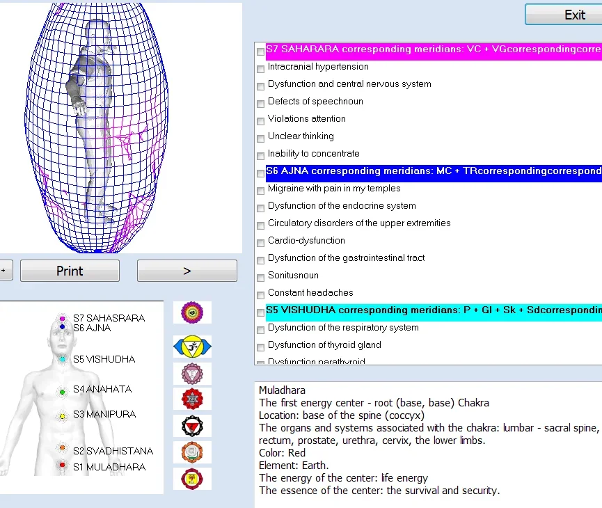 Оригинальный российский биорезонансный анализатор здоровья 8D/9D/17D NLS/аппарат для