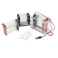 2d gel electrophoresis with 120mm glass tube