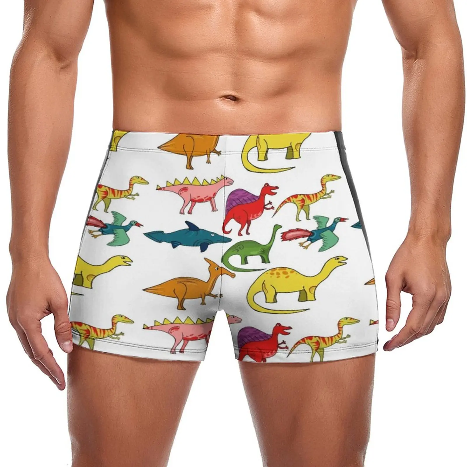 

Cartoon Dinosaurs Swimming Trunks Dinosaur Pattern Collection Custom Pool Swim Boxers Large Size Durable Man Swimwear