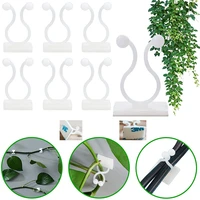 10 30pcs plant climbing wall fixture clips self adhesive vines holder fixture garden plant wall vines fixture wall sticky hook