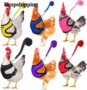 Chicken Mesh Soft Harness Vest With Leash Pets Adjustable Rope Matching Belt Hen Vest Farm Animals Hens Chicken Coop Accessories 1