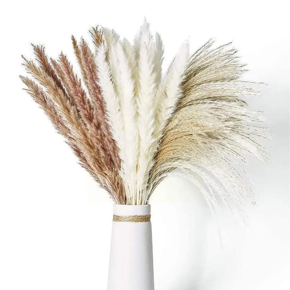 

Dried Pampas Grass Flowers Set Artificiales Dried Reed Wedding Party Decoracion Real Plants For Home Table Pampas Grass Dec U0D8