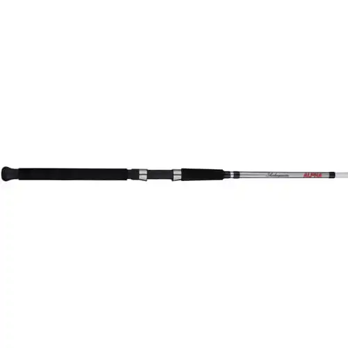 

Big water Spinning Fishing Rod