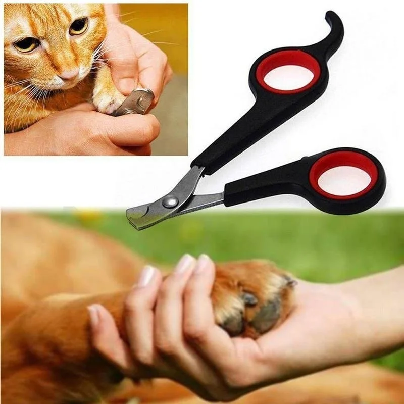 

Pet Nail Clippers for Dogs Cats Cutter Birds Trimmer Guinea Pig Scissors Animal Claws Paw Cutter Bird Parrot Shear Cat Brush