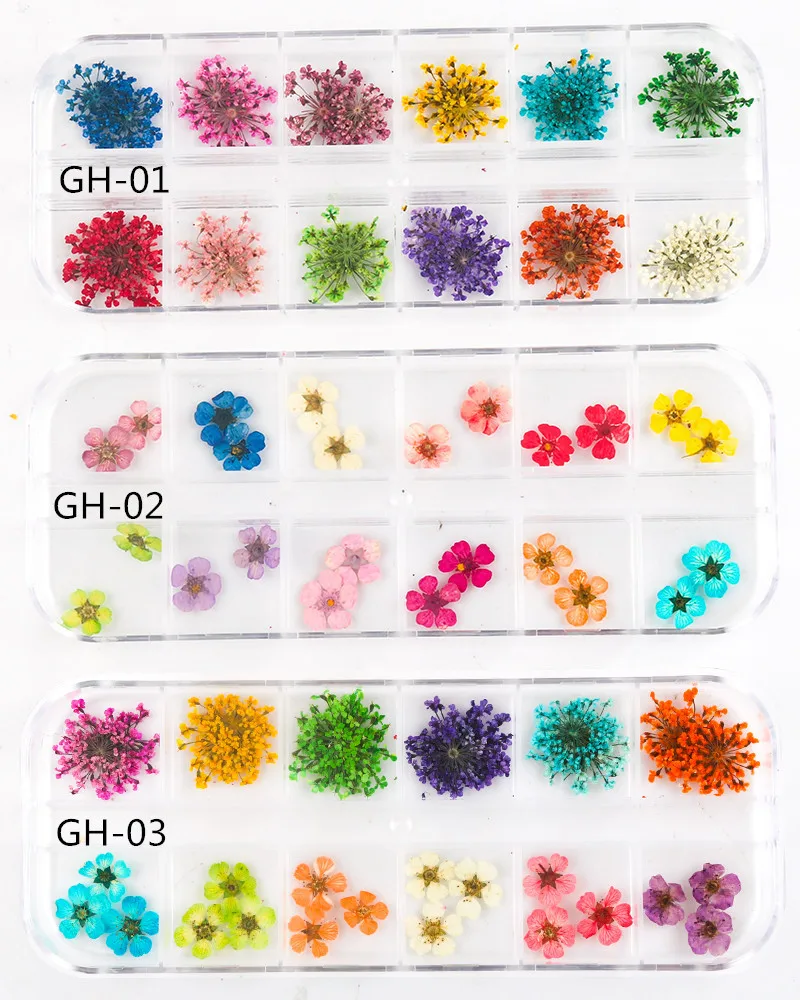 

Dried Flower Set 12 Grids Nail Art Mixed Shape With Bottle 3D Dry Flower Nail Japanese UV Gel Nails Manicure Tips Charming