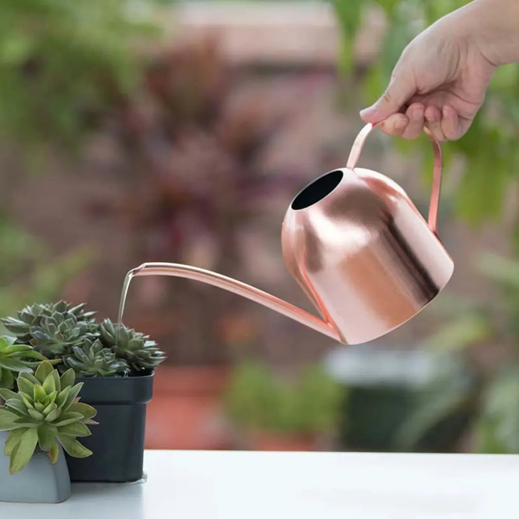 

500ml Watering Can Stainless Steel Pot Long Spout Indoors Home Plant Pot Bottle Watering Device Meaty Bonsai Garden Tool