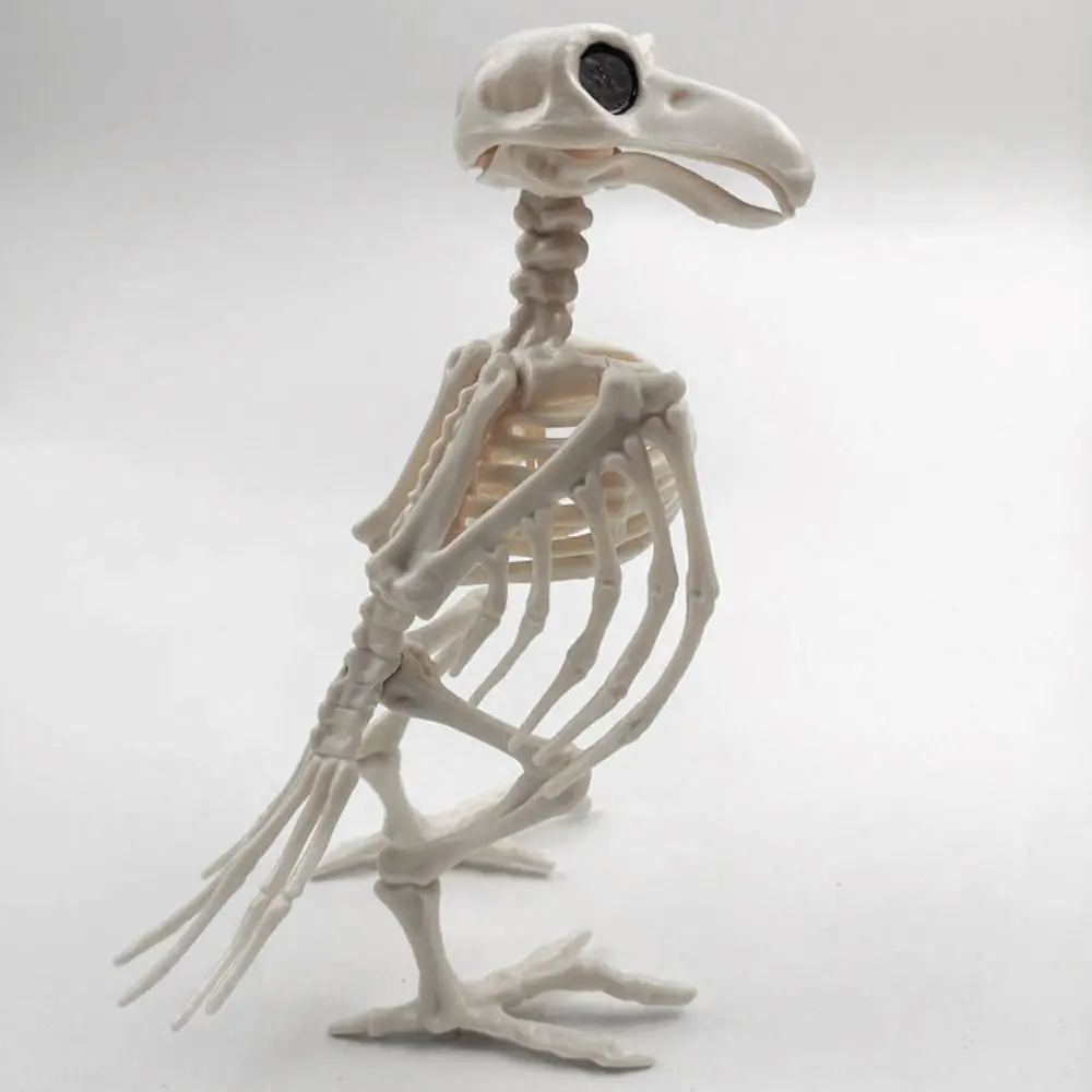 

Пластиковый скелет ворона Crazy Bone