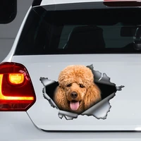 red poodle decal poodle magnet red poodle sticker poodle car decal