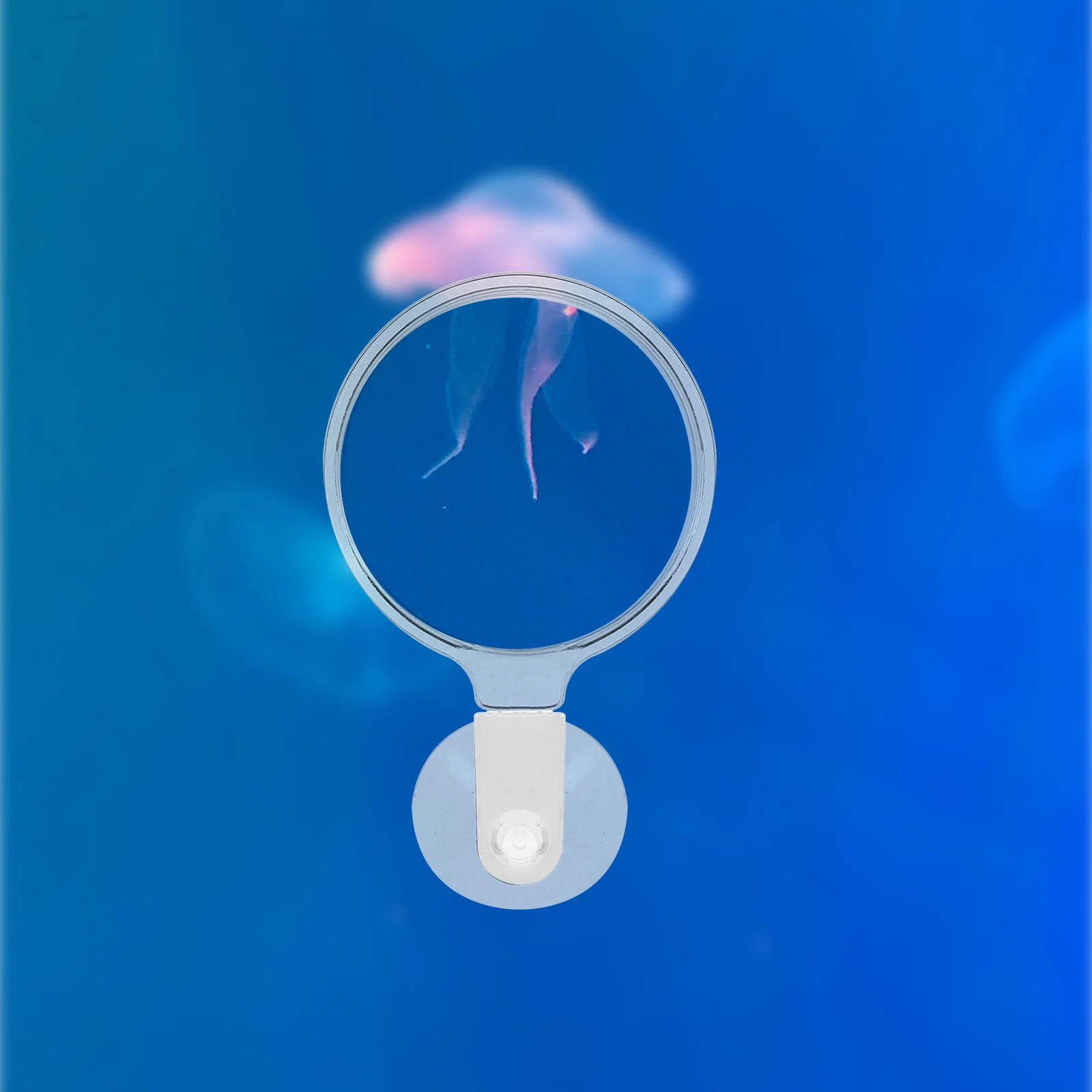 Увеличительное стекло для аквариума лупа муравьев растений дома аквариумные