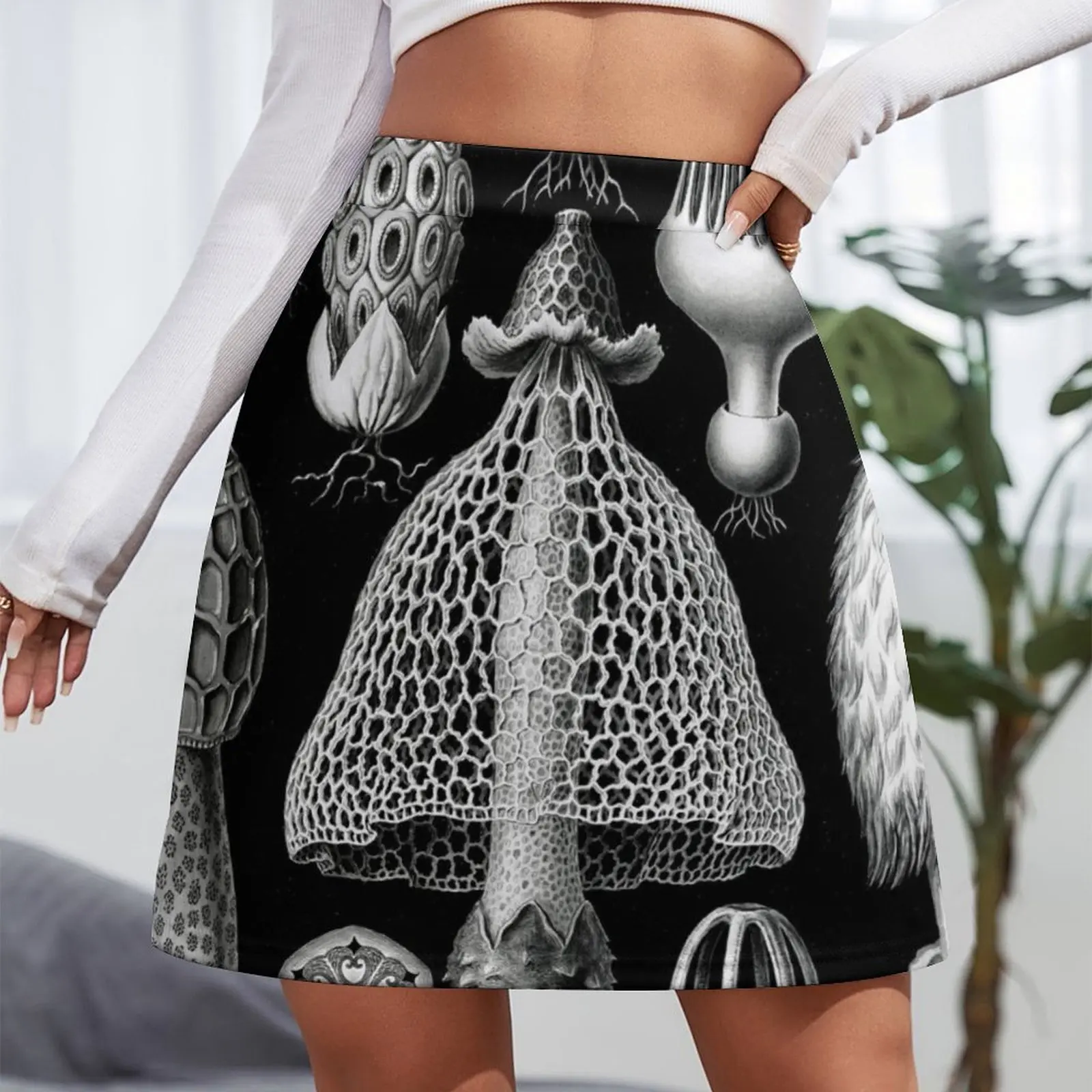 Basimycetes–Schwammpilze — иллюстрация грибы Stinkhorn (1904) от Ernst Haeckel мини-юбка новые платья