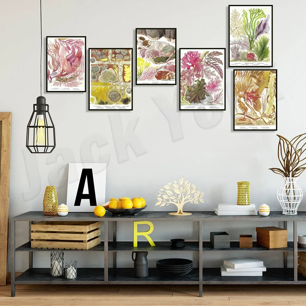 Винтажный постер с морскими водорослями морские растения морское дно папка