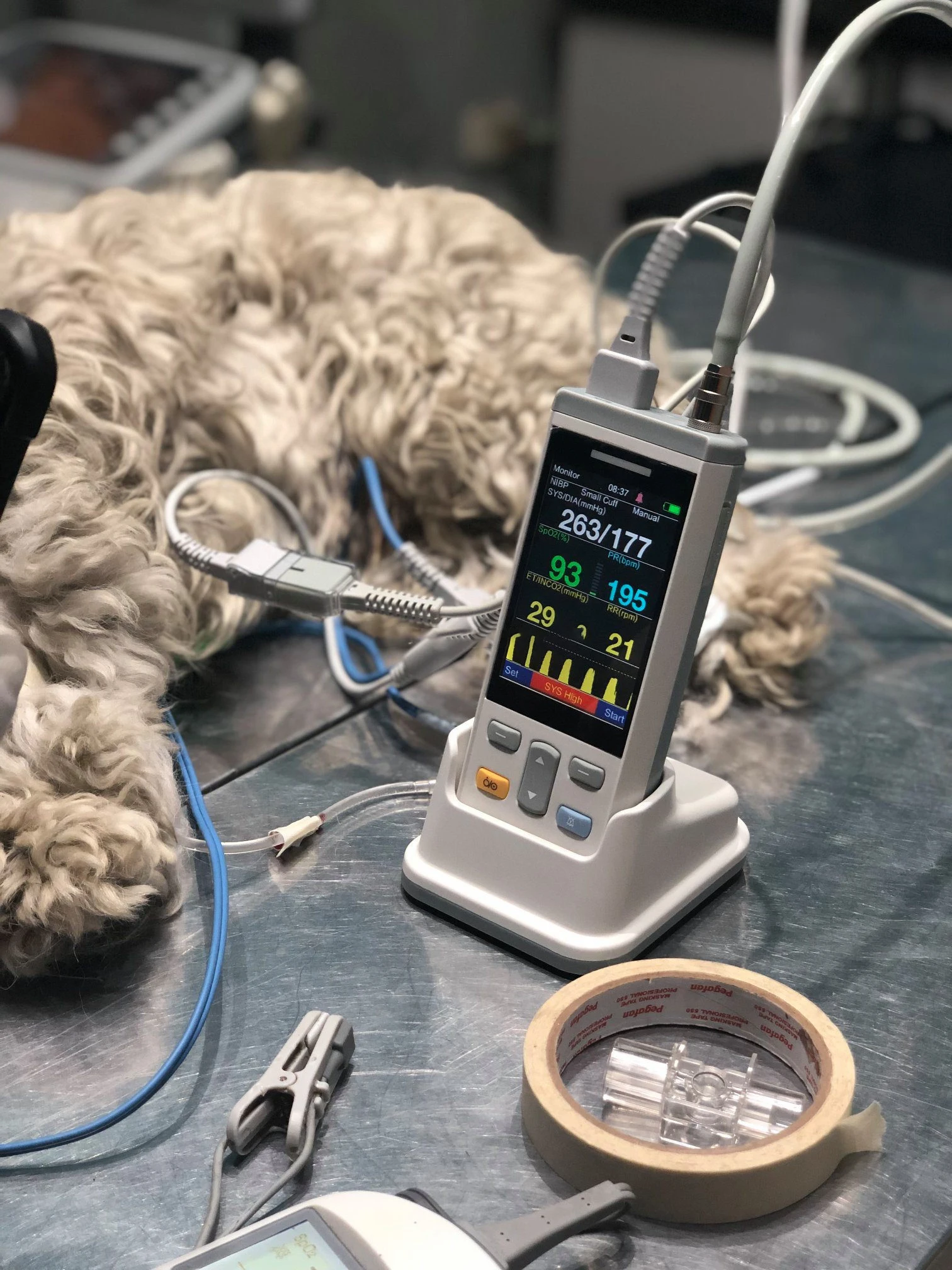 Портативный портативный многопараметрический ветеринарный мультипаратор с