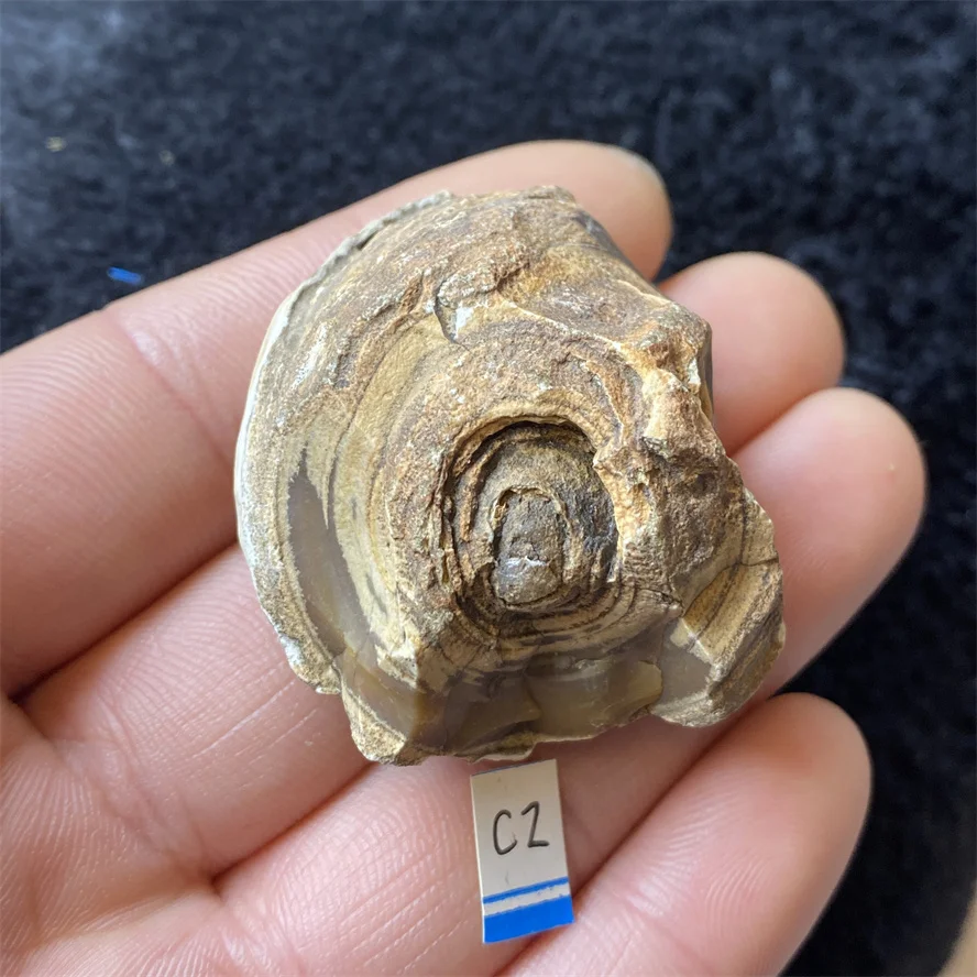 Натуральный лунный камень для гадания Pinhan патрик данн гадания с ленорман и таро