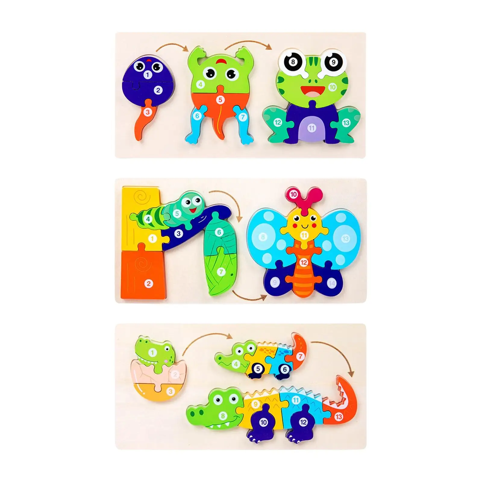 

Wooden Animal Life Cycle Puzzle Shape Matching Jigsaw Board for Baby Kids