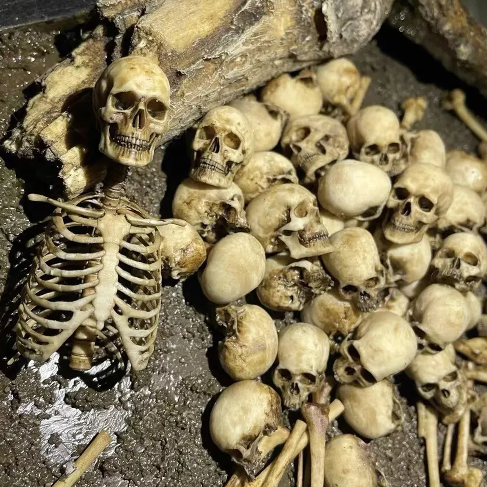 1 комплект человеческие пчелиные скелеты модель из ПВХ масштаб 1/12 7-дюймовый