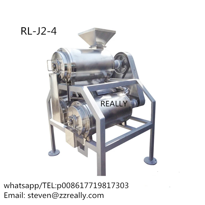 

2-3t/H Double-Channel Nuclear Fruit Beater Peel-Free Nuclear Beating Machine
