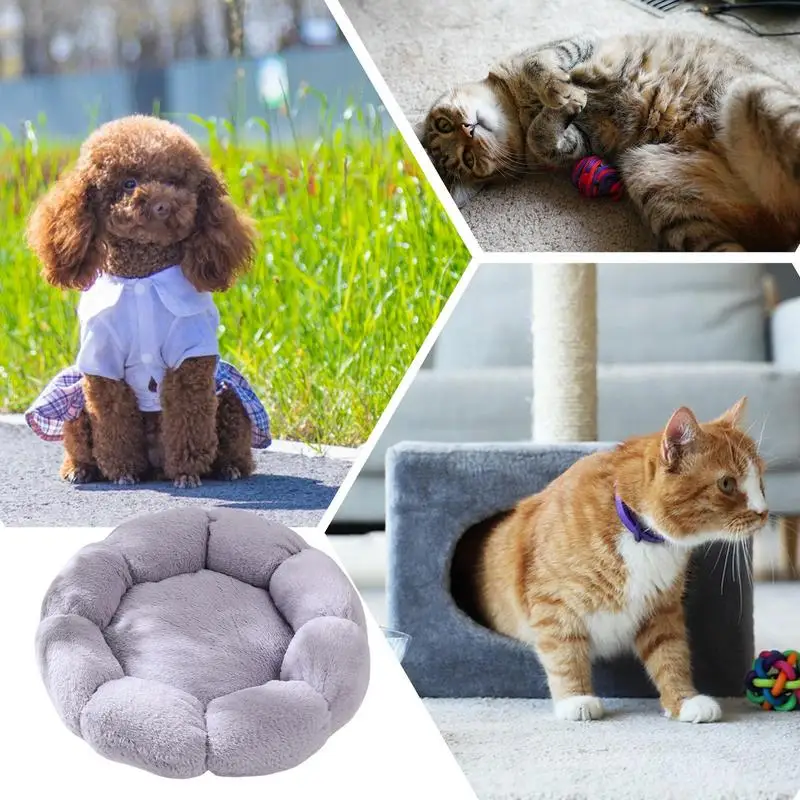 Кровать для кошек домашних Мягкая кошачья пещера Цветочные теплые кровати