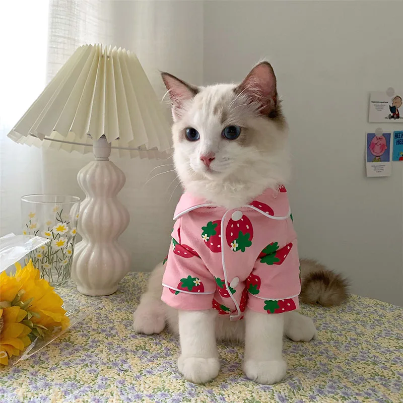 

Spring Cat Costume Cute Cozy Pet Clothes For Cats Katten Kedi Hoodie Mascotas Gato Sweatshirt Cat Sweater Pets Clothing Outfit