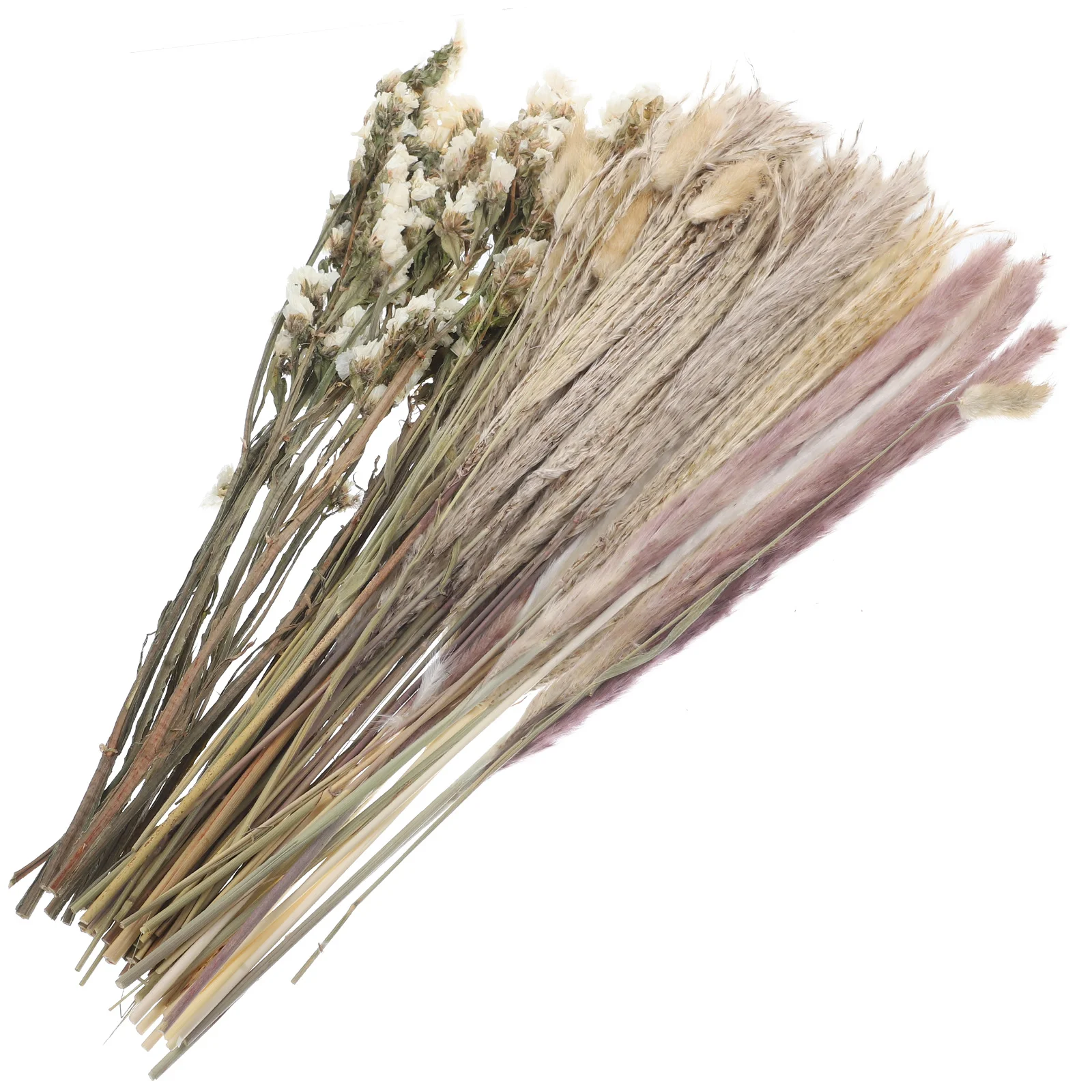 

Dried Reed Pampas Decor Flower Diy Branches Natural Pompass Eternal Props Vase Flowers Bouquets Reeds Bouquet Layout Home decor