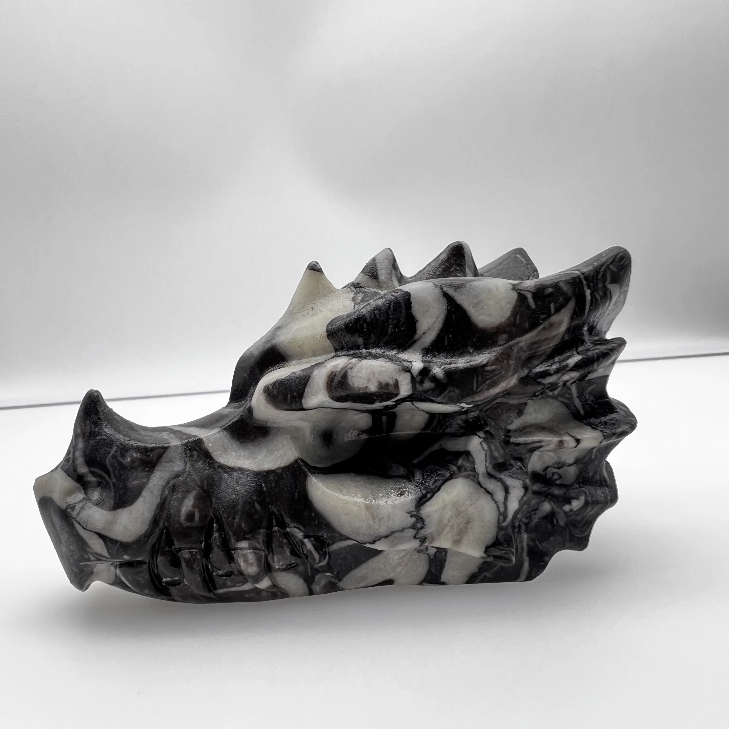 

Shell Fossil Jasper Quartz Matrix Crystal Dragon Head Healing Rock Reiki Stone