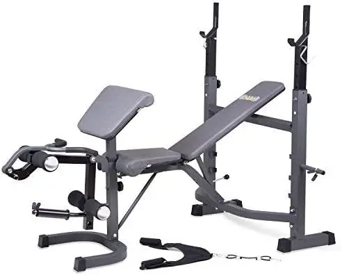 

Bench, Workout Equipment for Home Workouts, Bench Press with Preacher Curl, Leg Developer and Crunch Handle for At Home Workouts