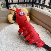 Одежда для домашних животных