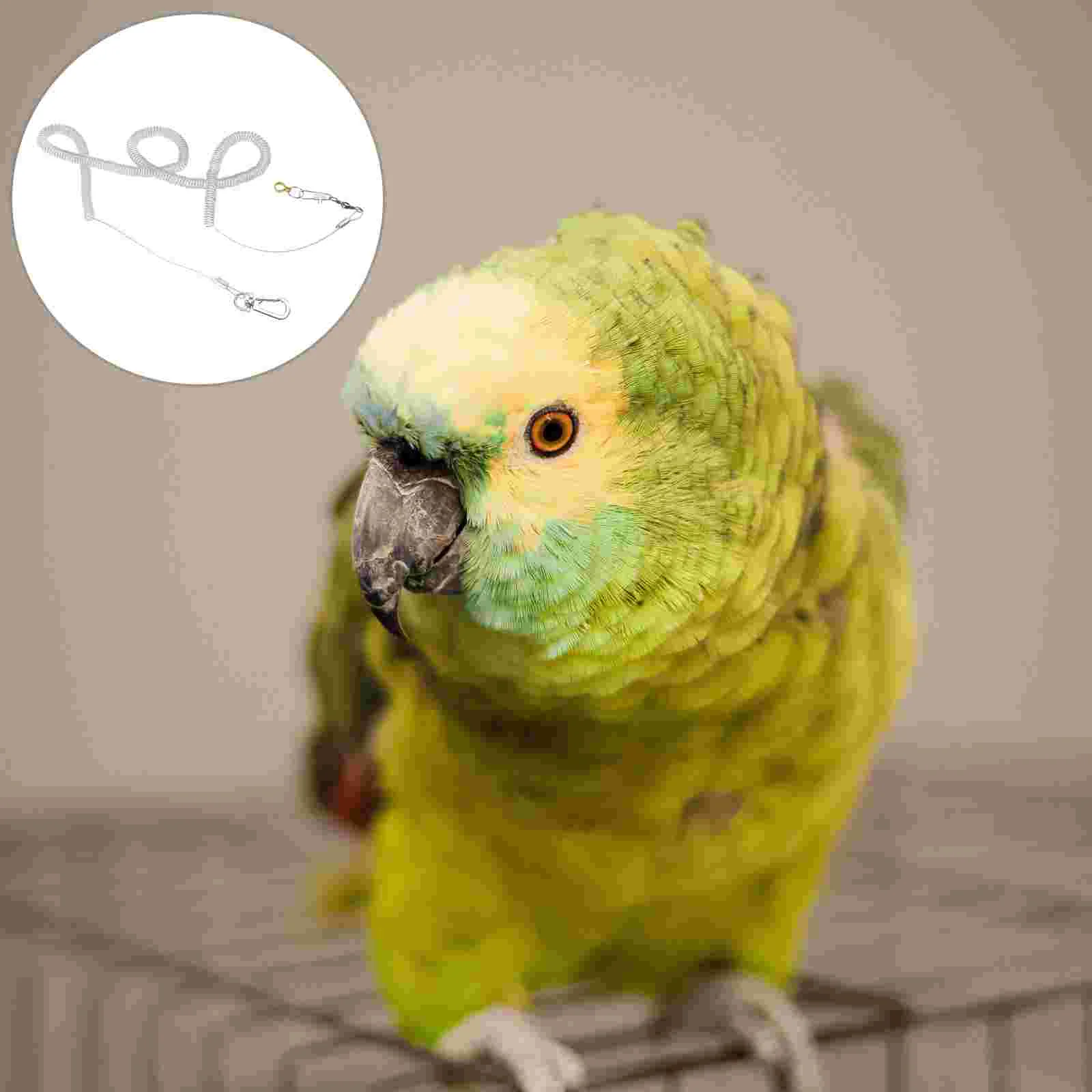 Ножной браслет для дрессировки птиц клетка товары домашних животных ремень