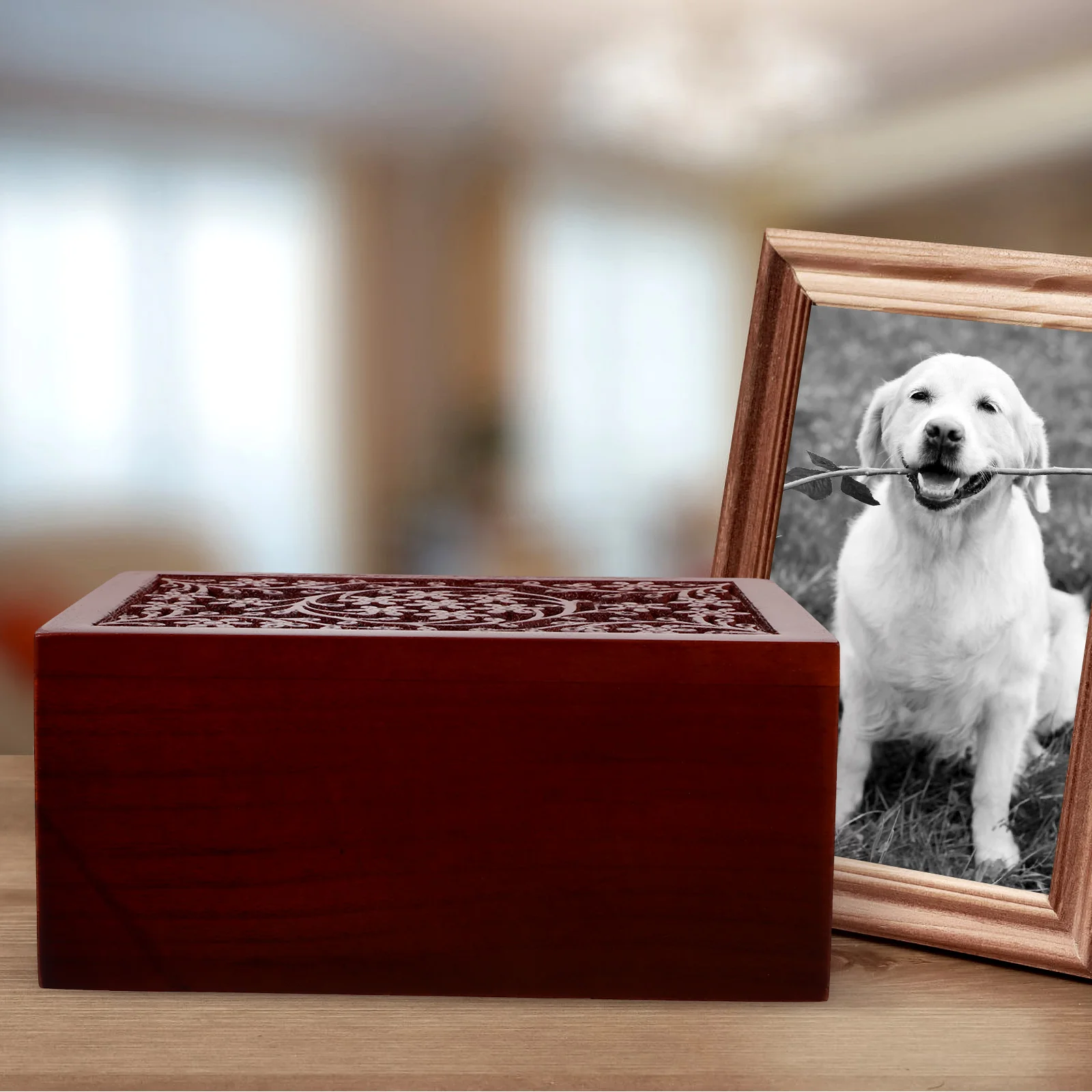 Урна для домашних животных Памятная шкатулка Похоронные деревянные урны Твердый